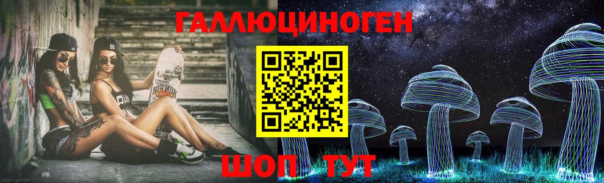 Псилоцибиновые грибы Cubensis  Вход с VPN  Каменка 